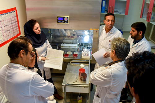میکروب شناسی 2