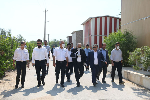 بازدید از ایستگاههای تب سنجی 8