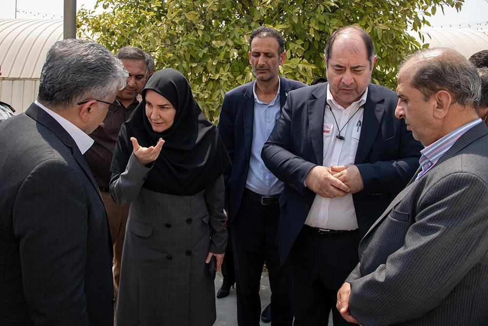 بازدید معاون وزیر خانم خزایی مرداد ماه 1404 2